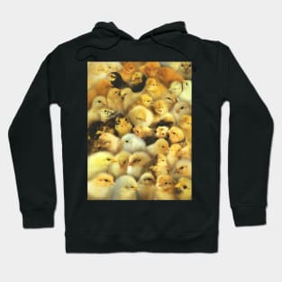 Chicks Hoodie